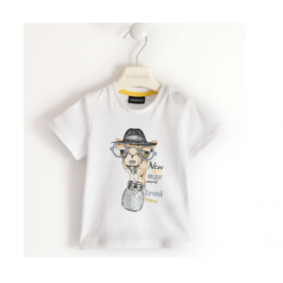 T.shirt Macaco Com oculos
