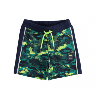 Calção Azul e Verde