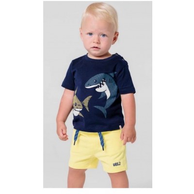 T-shirt menino tubarão 